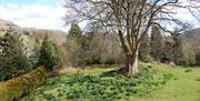 View from the kitchen to the open area at the back in No. 3 Main Street Cottage in Elterwater, Lake District