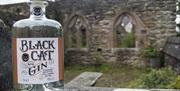 Black Cat Gin at Black Cat Distillery at Brougham Castle near Penrith, Cumbria