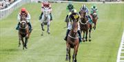 Cartmel Racecourse in Cartmel, Cumbria