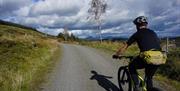 Visitor Cycling in Grizedale Forest on a Bike Hired from BikeTreks Grizedale in the Lake District, Cumbria