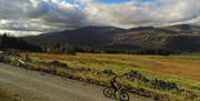 Visitor Cycling in Grizedale Forest on a Bike Hired from BikeTreks Grizedale in the Lake District, Cumbria