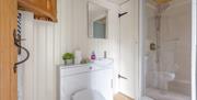 Bathroom inside Bluebell Lodge at Coniston Shepherd Hut Lodges in Coniston, Lake District