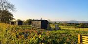 Views and gardens around Brackenslack Shepherds Huts in Maulds Meaburn, Cumbria