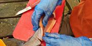 Bushcraft Cookery and Star Gazing with Path to Adventure