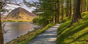 View from a Lakeside Path along Buttermere, Seen on a Walking Holiday from The Carter Company in the Lake District, Cumbria