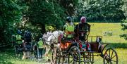 Visitors riding horse carriages with Lake District Calvert Trust