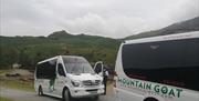 Mountain Goat Wedding Transfers