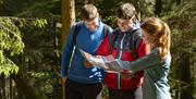 Visitors on a walking trail at Whinlatter Forest in the Lake District, Cumbria