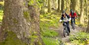 Visitors on a mountain biking trail at Whinlatter Forest in the Lake District, Cumbria