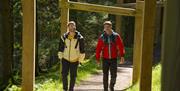 Visitors on a walking trail at Whinlatter Forest in the Lake District, Cumbria