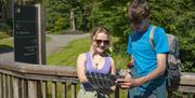 Visitors looking at a map on a trail at Grizedale Forest in the Lake District, Cumbria