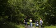 Visitors on a trail at Grizedale Forest in the Lake District, Cumbria