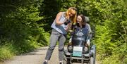 Visitors on a trail at Grizedale Forest in the Lake District, Cumbria