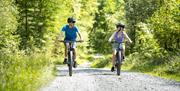 Cyclists on a mountain biking trail at Grizedale Forest in the Lake District, Cumbria
