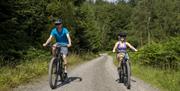 Cyclists on a mountain biking trail at Grizedale Forest in the Lake District, Cumbria