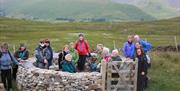 Photo Viewpoint at Eycott Hill Nature Reserve in the Lake District, Cumbria