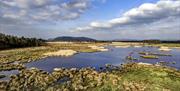 Views at Foulshaw Moss Nature Reserve in Witherslack, Cumbria