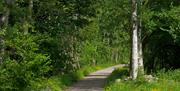 Paths at Smardale Gill Nature Reserve near Kirkby Stephen, Cumbria