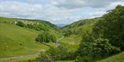 Views at Smardale Gill Nature Reserve near Kirkby Stephen, Cumbria