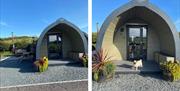 Pod Exteriors and Dog at Castle Guards Farm Retreat near Cockermouth, Lake District