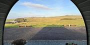 View from Pod at Castle Guards Farm Retreat near Cockermouth, Lake District
