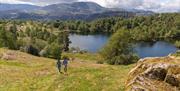 Walkers Enjoying a Walk to Tarn Hows on a Walking Holiday from The Carter Company in the Lake District, Cumbria