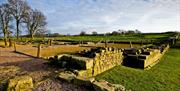 Ruins of Birdoswald Roman Fort, Seen on a Walking Holiday from The Carter Company in the Lake District, Cumbria