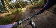 Cyclewise in Whinlatter Forest in the Lake District, Cumbria