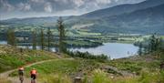 Cyclewise in Whinlatter Forest in the Lake District, Cumbria