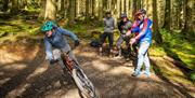 Skills Coaching at Cyclewise in Whinlatter Forest in the Lake District, Cumbria