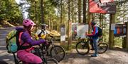 Bike Trails near Cyclewise in Whinlatter Forest in the Lake District, Cumbria