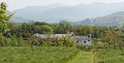 View of Southwaite Green Farm from Billy's Wood, near Cockermouth, Cumbria