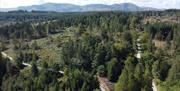 Grizedale Forest