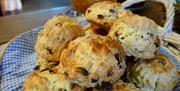 Scones at Dalemain Tearoom in Penrith, Cumbria