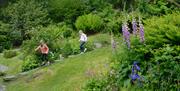 Dove Cottage Garden at Wordsworth Grasmere in the Lake District, Cumbria