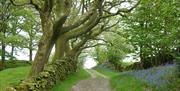 Cycle Path, Promoting E-Bike Hire and Delivery from E-Bike Safaris Ltd in the Lake District, Cumbria