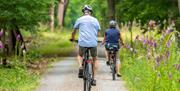 Riders Enjoying E-Bike Hire and Delivery from E-Bike Safaris Ltd in the Lake District, Cumbria