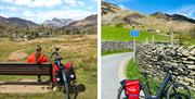 Cycles Hired from E-Bike Safaris Ltd in the Lake District, Cumbria