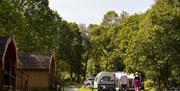 Exterior of Camping Pods at Coniston Park Coppice in Coniston, Lake District