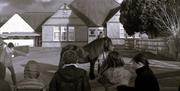 Marnie the Fell Pony being shown as part of the Epona Exhibition by Eden Arts in Penrith, Cumbria