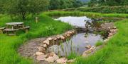 Pond and picnic table at Eskdale Mill in Boot, Lake District