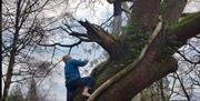 The Happy Ape with Full Circle Experiences in Rydal, Lake District