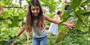 The Happy Ape with Full Circle Experiences in Rydal, Lake District