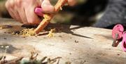 Learning New Skills at Family Bushcraft with Graythwaite Adventure Near Hawkshead, Lake District
