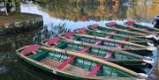 Rowboats at Fell Foot in Newby Bridge, Lake District