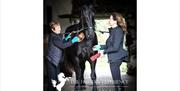 Visitors and Horse at The Friesian Experience at Greenbank Farm in Cartmel, Cumbria