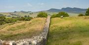 See Hadrian's Wall on the Hadrian’s Wall Edge of Empire Tour with Great Guided Tours