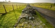 See Hadrian's Wall on the Hadrian’s Wall Edge of Empire Tour with Great Guided Tours