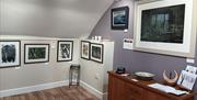 Art on Display at Gallery North West in Brampton, Cumbria