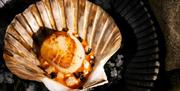 Scallop in a Shell Dish at Gilpin Spice in Windermere, Lake District